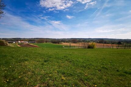 Stellplatz, Camping, Camper, Campingplatz - Pfaffenhofen an der Ilm