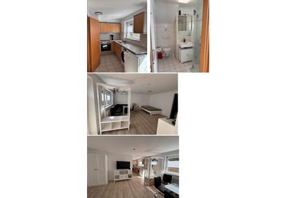 1-Zimmerwohnung Waldshut (Homburg) teilmöbliert - Waldshut-Tiengen