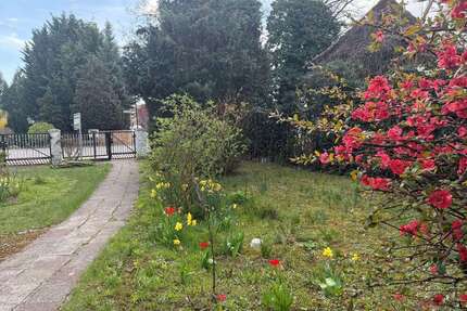 Haus zum Kaufen in Fürstenwalde Spree 265.000,00 € 98 m² - Fürstenwalde / Spree