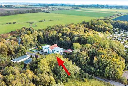 Waldfläche in18356 Barth, Divitzer Weg (westlich von Nr. 3)