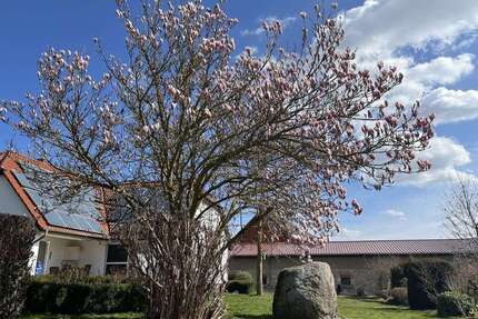 Haus zum Kaufen in Frellstedt 399.000,00 € 210 m²