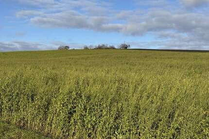 Grundstück in Weng Hinzlbach 890.892,00 € 49494 m² - Weng / Hinzlbach