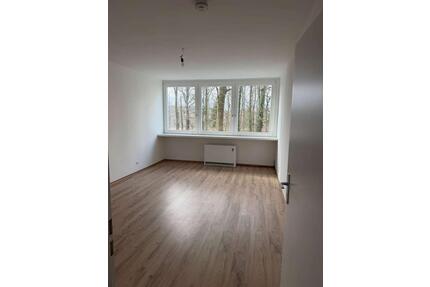 Frisch renovierte 3-Zimmer Wohnung mit Balkon [VAC-12953] - Karlsruhe Wettersbach