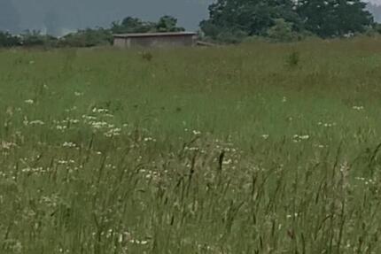 Freizeitgrundstück Acker - 12,00&nbsp;EUR Kaltmiete, ca.&nbsp; 0,00&nbsp;m&sup2; in Feuchtwangen (PLZ: 91555)