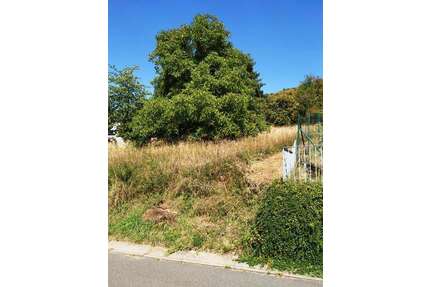 Grundstück zu verkaufen in Lauda-Königshofen 99.000,00 € 967 m²