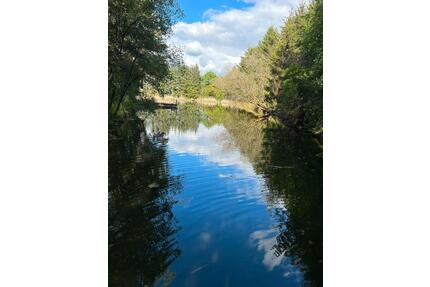 Freizeitgrundstück, Weiher, Fischteich, Permakultur, Gemüsegarten - Aurach