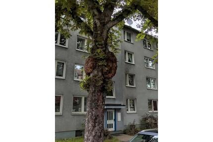 Kapitalanlage oder Eigennutzung - 3ZKB direkt an der Uni Kassel
