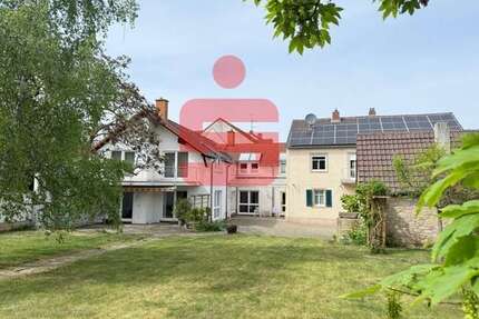 Haus zum Kaufen in Friedelsheim 750.000,00 € 342 m²
