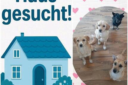 Haus in 33428 Harsewinkel +-20km Umkreis