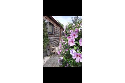 Chalet, Mobilheim, Tinyhouse modernisiert zu verkaufen - Willich