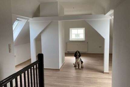 Wohnung zum Mieten in Lengenfeld 253,00 € 46 m²