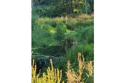 Grundstück in Möckern 499.999,00 € 59752 m²