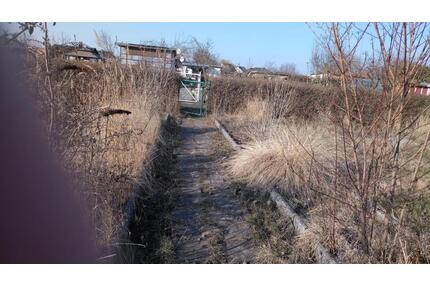 Gemütlicher Kleingarten abzugeben - Sparte Sonnenland Nähe - Greifswald