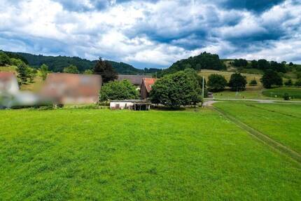 RESERVIERT-Großzügiges Baugrundstück mit Wiesengrundstücken & Wohnhaus in idylischer Lage von Sexau