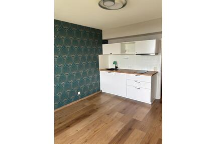 1 Zimmer Wohnung 630 warm - 630,00&nbsp;EUR Kaltmiete, ca.&nbsp; 27,00&nbsp;m&sup2; in Nürnberg (PLZ: 90431) Gaismannshof