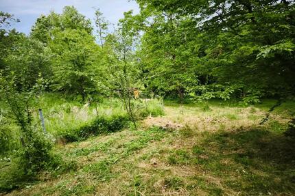 Garten mit kleiner Hütte in Auenwald bei Schloss Ebersberg
