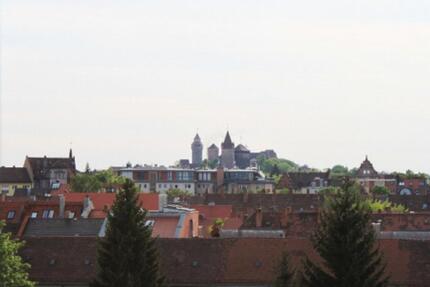 große 1-Zimmer Wohnung Nähe Stadtpark - Nürnberg Eberhardshof