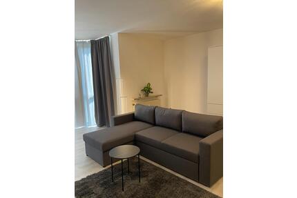 Modern möblierte 1-Zimmer-Whg in Ammerndorf LK Fürth
