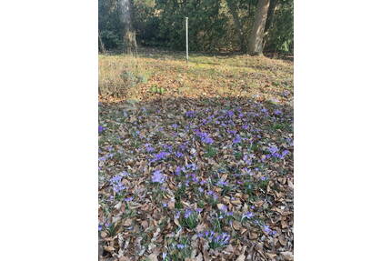 Naturgrundstück - 110.000,00&nbsp;EUR Kaufpreis, ca.&nbsp; 0,00&nbsp;m&sup2; in Hamfelde (PLZ: 22929)