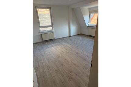 neu renovierte helle 3 Zimmer Wohnung in Stgt-West zu vermieten - Stuttgart Stuttgart-West