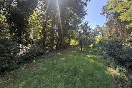 Grundstück zu verkaufen in Hohen Neuendorf 199.000,00 € 620 m²