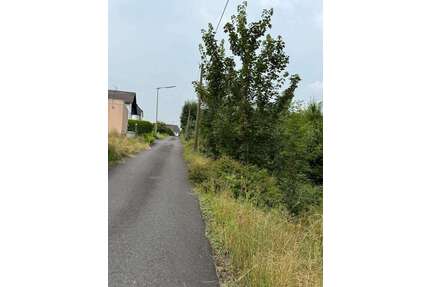 Grundstück zu verkaufen in Roth 115.000,00 € 2288 m²