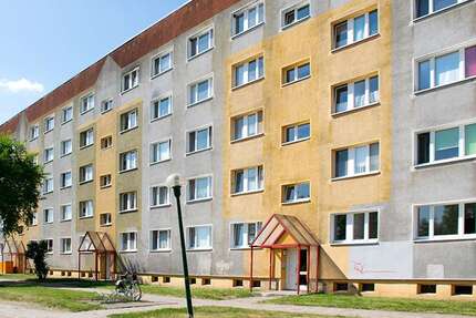 Wohnung zum Mieten in Prenzlau 175,00 € 24.62 m²