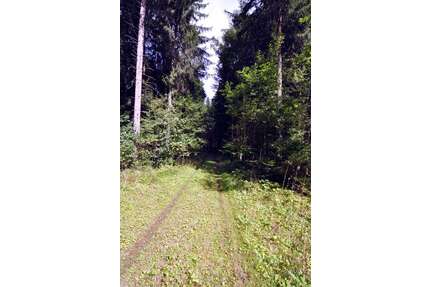 Grundstück in Oberbiberg 123.000,00 € 10700 m²