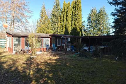 FreizeitgrundstückTierhaltung möglich - Bad Harzburg