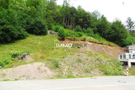 Baugrundstück in sehr guten Lage von Todtmoos zu verkaufen!!