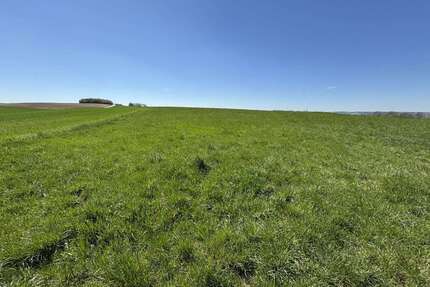 Grundstück in Mamming 136.350,00 € 9090 m²