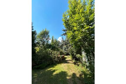 Naturbelassenes Gartengrundstück zur Pacht KEIN KGV - Chemnitz Ebersdorf