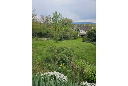 Sofort bebaubares Grundstück mit Aussicht!!! - Forchheim Reuth