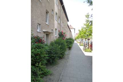 Wohnung zum Mieten in Braunschweig 337,00 € 42.09 m²