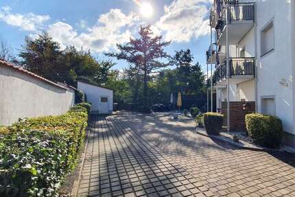 Wohnung zum Mieten in Borna 450,00 € 59 m²