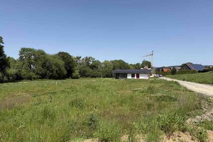 Grundstück zu verkaufen in Hülsede Meinsen 318.800,00 € 1594 m² - Hülsede / Meinsen