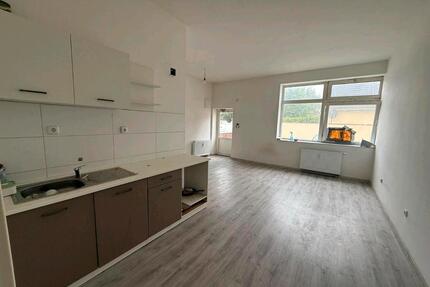 Wohnung zu vermieten - 750,00&nbsp;EUR Kaltmiete, ca.&nbsp; 54,00&nbsp;m&sup2; in Tellingstedt (PLZ: 25782)