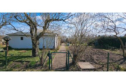 Schöner Pachtgarten Kleingarten in Brandenburg - Brandenburg an der Havel Bahnhofsvorstadt