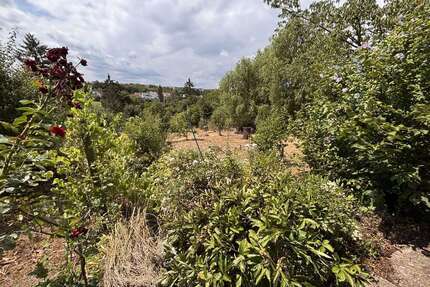 Grundstück zu verkaufen in Wiesbaden 80.000,00 € 1071 m²