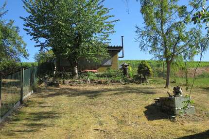 Grundstück zu verkaufen in Weinsberg 35.000,00 € 1160 m²