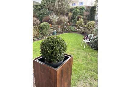 Wohnung zum Kaufen in Niedernhausen 289.000,00 € 88 m²