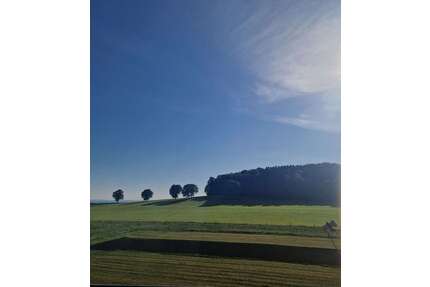 Wohnung zum Kaufen in Dürrröhrsdorf-Dittersbach 49.900,00 € 56 m²