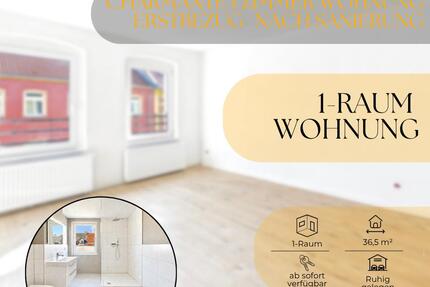 ERSTBEZUG nach Sanierung – 1-Raum in Staßfurt