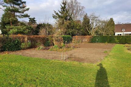 Nutzgarten - Garten für Obst Gemüse Kräuter - kein Schrebergarten - Bergisch Gladbach Frankenforst