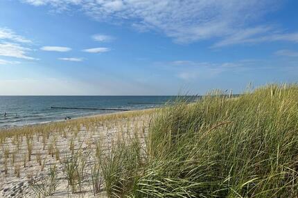 Ferienwohnung auf dem Ponyhof in M-V - Löbnitz