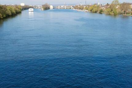 Frankfurt: Schöne, helle 3ZW Nähe Main, Park u. S-Bhf in 6-FH - Frankfurt am Main West