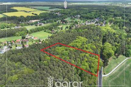 Grundstück zu verkaufen in Gablenz Kromlau 8.888,00 € 12000 m² - Gablenz / Kromlau