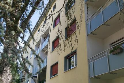 Modernisierte Wohnung in Frankfurt MItte-Nord zu vermieten - Frankfurt am Main Eschersheim