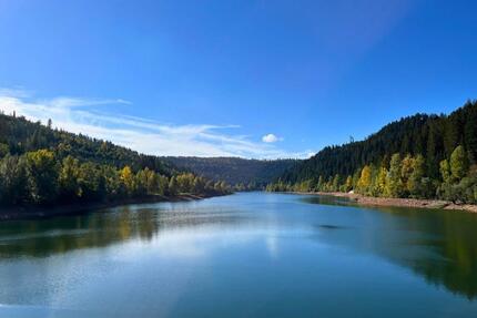 Ferienhaus im Schwarzwald am See I 4 Nächte I 1-6 Personen - Seewald