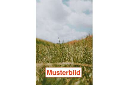 Grundstück zu verkaufen in Bad Orb 285.000,00 € 700 m²